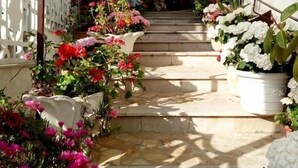 Eine Steintreppe führt zu einem überdachten Bereich mit Blumentöpfen und Blumen.