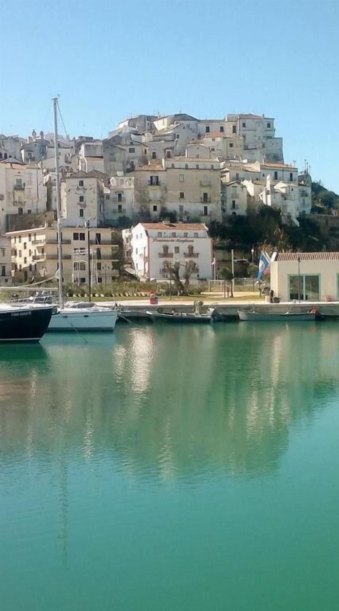 A marina with boats docked, a building with a white facade, and a hillside with multiple buildings.