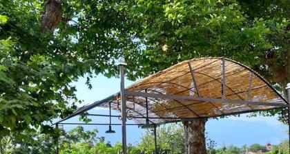 Large historic estate with jacuzzi - gîte 12 pers. - calm & nature