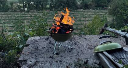 Large historic estate with jacuzzi - gîte 12 pers. - calm & nature