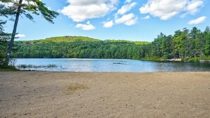 Un lago rodeado de un bosque denso y una playa de arena.