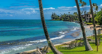 Paki Maui 103