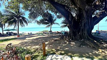 Una playa con palmeras, un tronco de árbol grande y una zona arenosa con sillas y mesas.