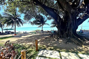 Una playa con palmeras, un tronco de árbol grande y una zona arenosa con sillas y mesas.