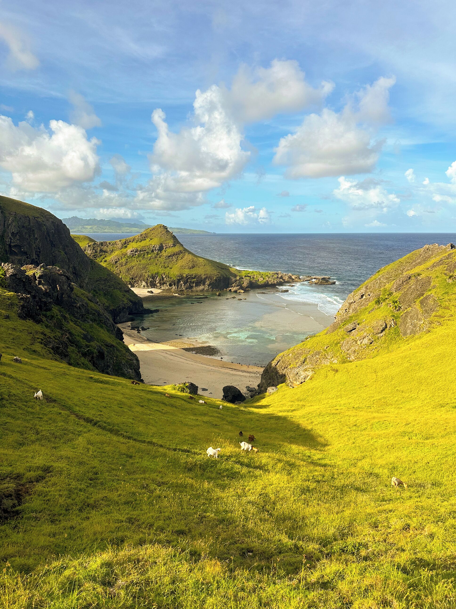 A coastal landscape with grassy hills, a beach, and the ocean.