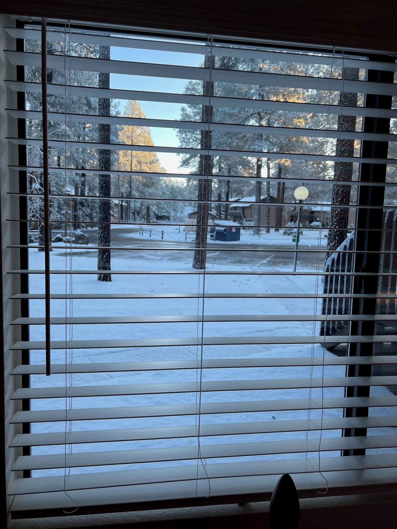 A window with blinds, a view of a snowy landscape with trees and a street.