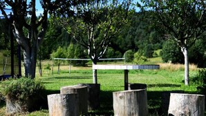 Entorn rural a l'aire, amb troncs de fusta i un senyal metàl·lic.