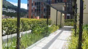 A pathway flanked by greenery and a modern building with a metal structure overhead.
