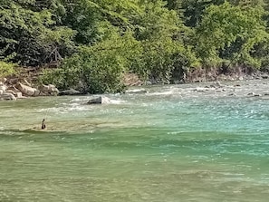 Divers