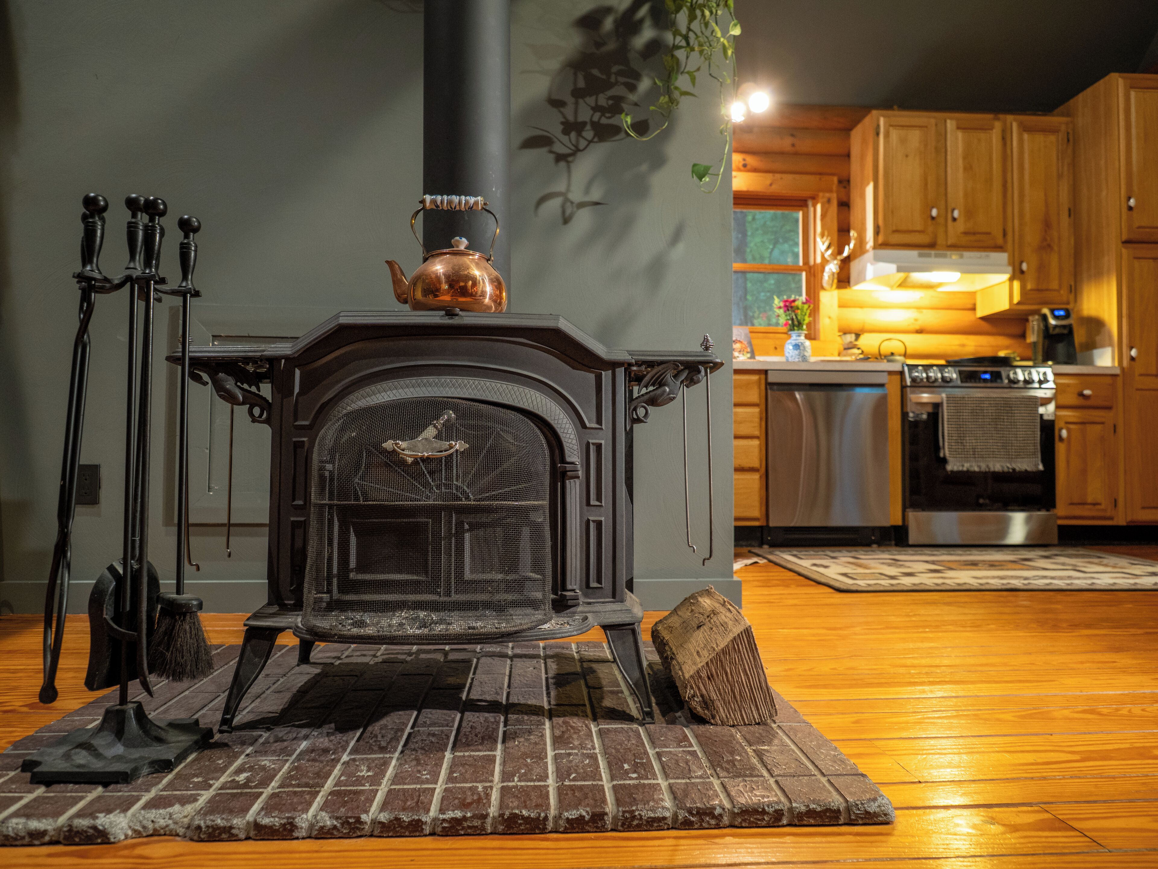Oven, stovetop, dishwasher