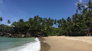Une plage à l’eau turquoise et limpide, bordée de sable fin et de palmiers.