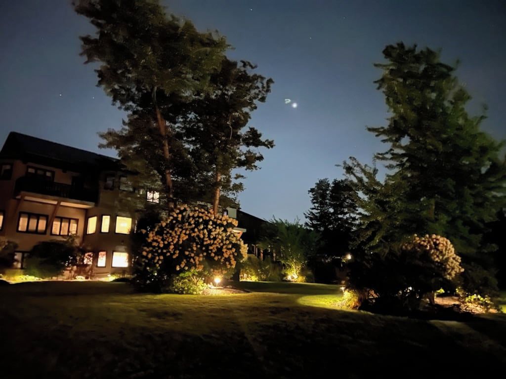 A residential area at night with illuminated trees and a house.