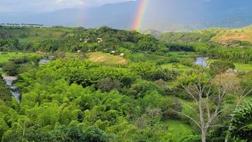 A view of a lush green landscape with a rainbow, a river, and distant mountains.