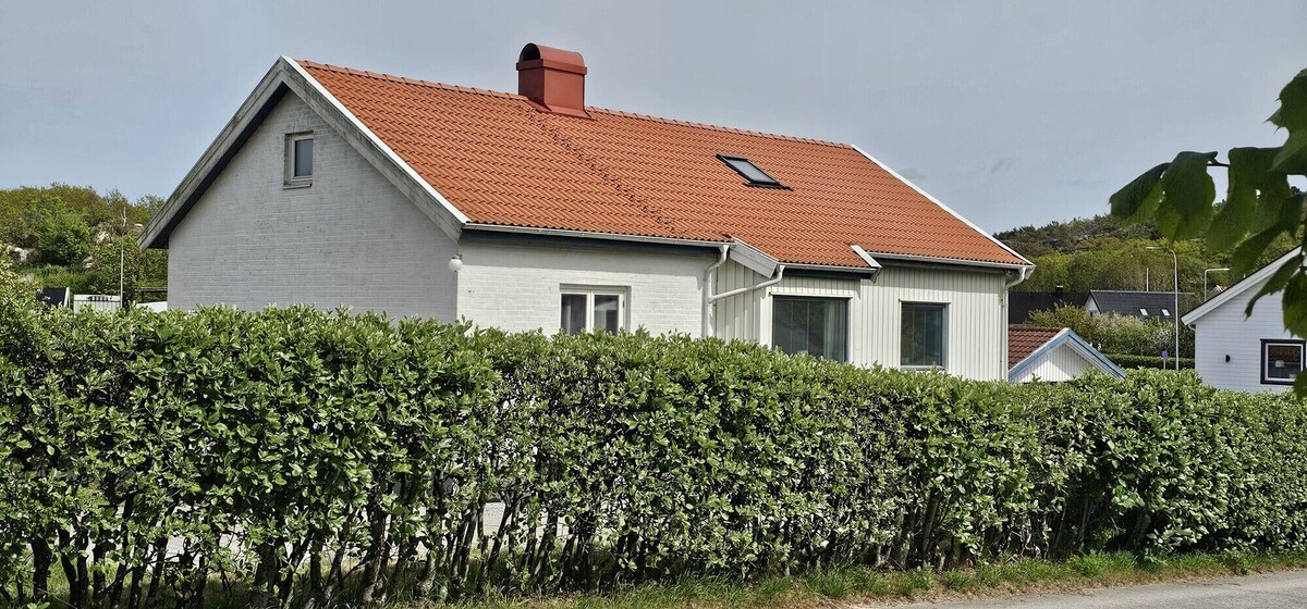 Värdens profilbild