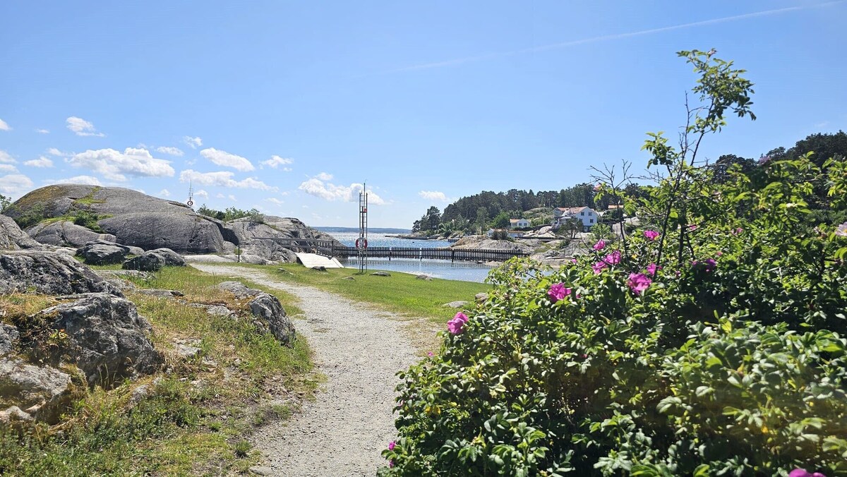 Värdens profilbild