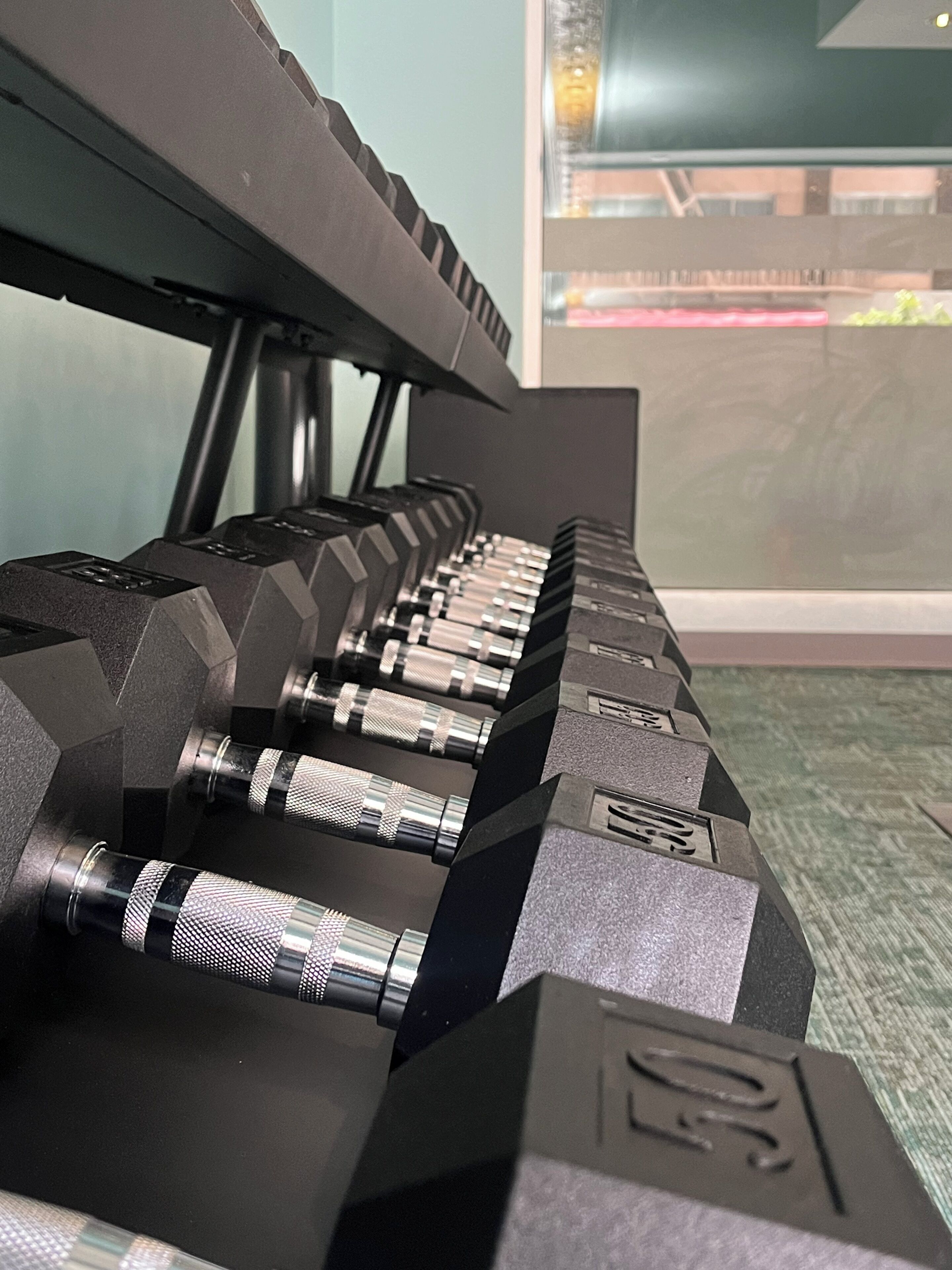 A row of black dumbbells with visible weight markings, set against a backdrop of a window with a view of buildings.