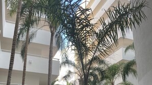 A courtyard with a central water feature, palm trees, and a building with a waterfall. - Hotel Sea Garden, Nuevo Vallarta, Mexico. Sleeps 4 adults & 2 children. (Nuevo Vallarta)