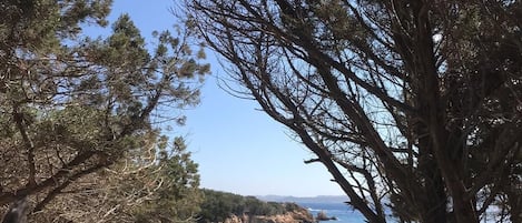 Spiaggia