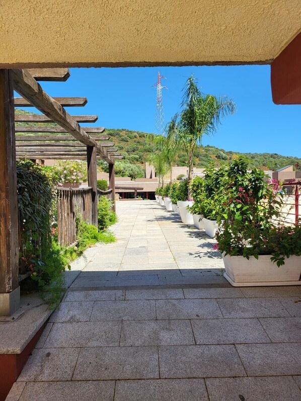 A paved pathway leading to a covered area with a pergola, surrounded by potted plants and a view of a hill with a power line tower in the distance.