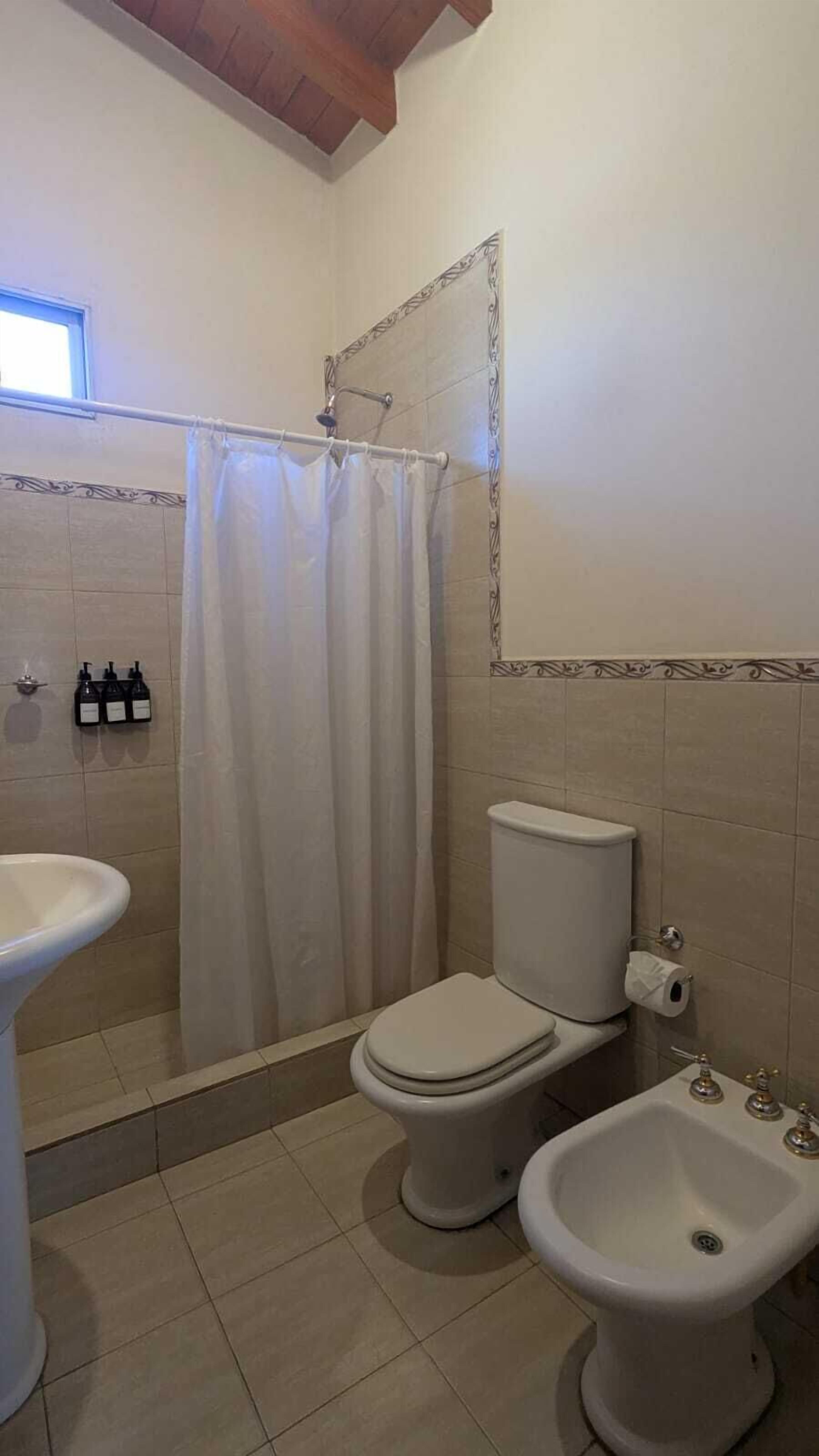 A bathroom with a shower, toilet, bidet, and sink.