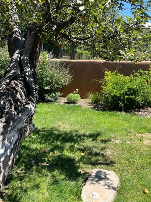 A tree with a thick trunk and a grassy area with a stone slab. - Delgado B-2: Just one block from Canyon Road! (Santa Fe)