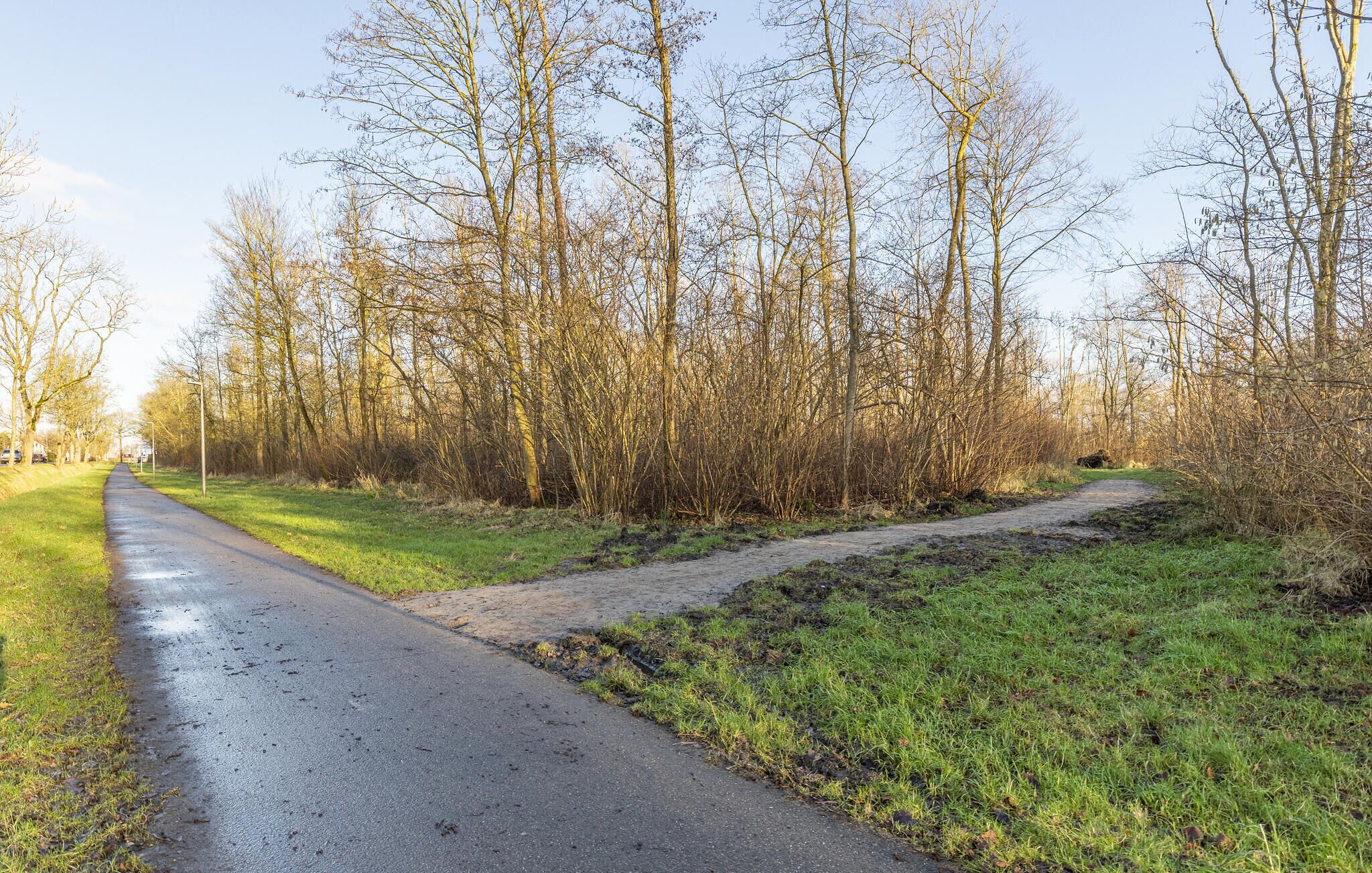 A paved path leading through a wooded area with trees on both sides.
