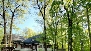 Una casa con techo inclinado, rodeada por un bosque verde exuberante.