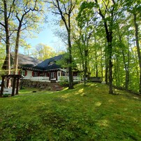 Una casa con techo inclinado, rodeada por un bosque verde exuberante.