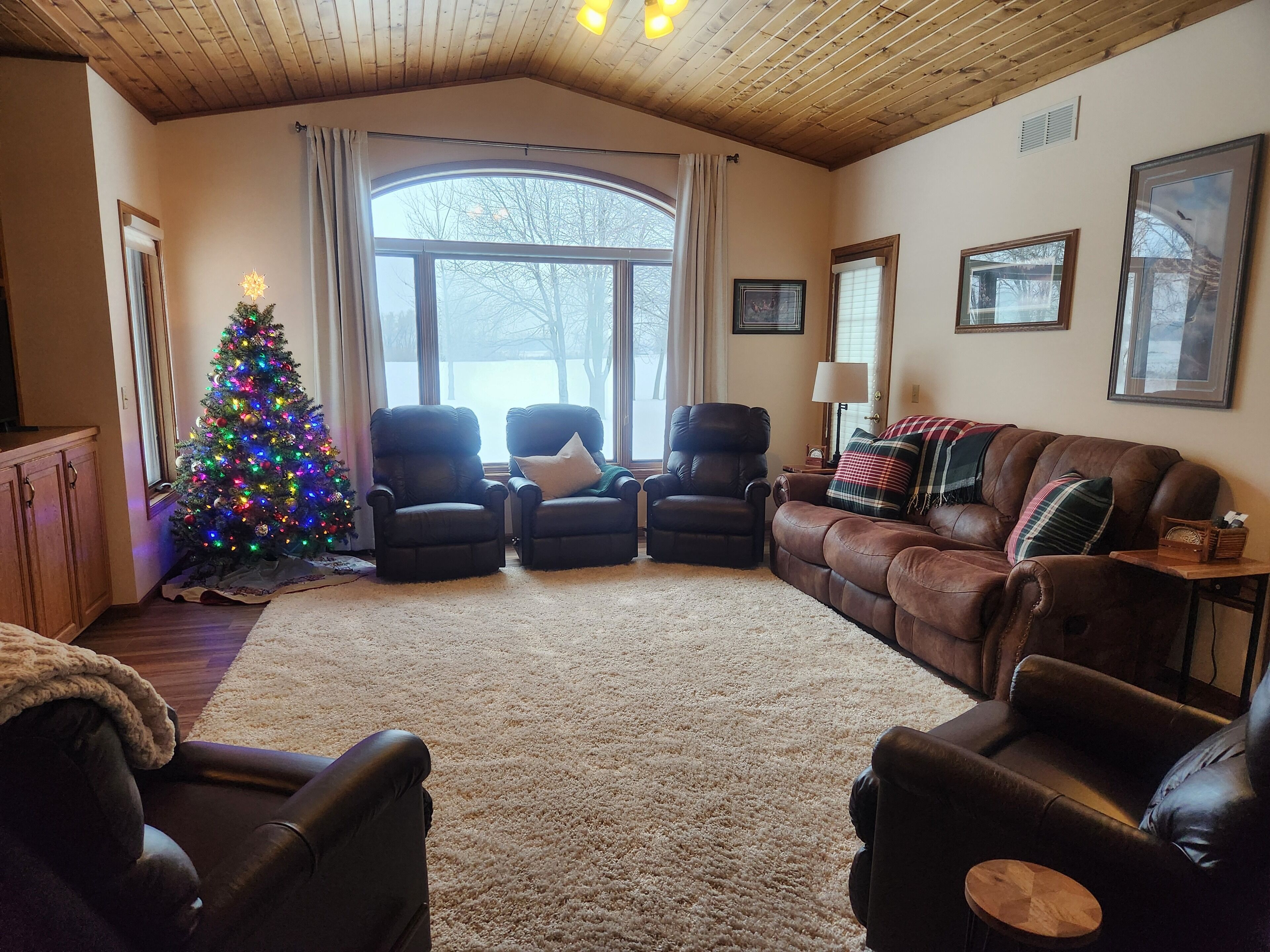 Smart TV, fireplace, DVD player, books