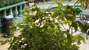 未分類圖片，第 5 張 ( 共 20 張)，按鈕