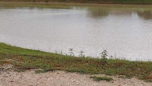 Een rustig landschap met een vijver, grasvelden en een rood gebouw op de achtergrond.