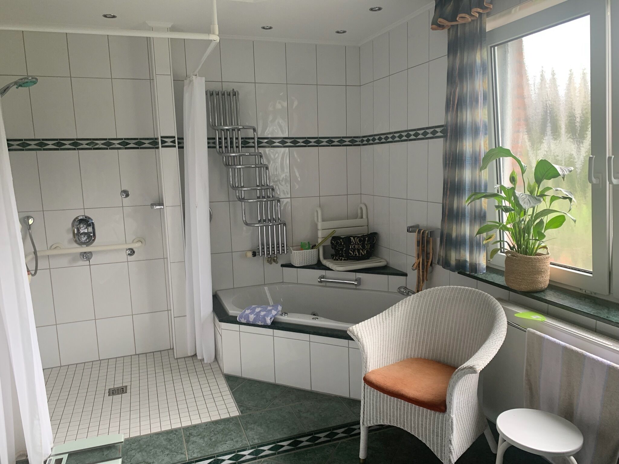 Shower, jetted tub, hair dryer, soap