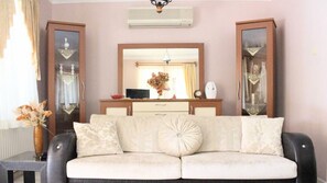 TV, DVD player, books