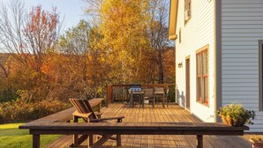 Terraza de madera con mobiliario exterior, una parrilla y una planta en maceta.