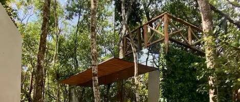 المنطقة المحيطة بالمنشأة