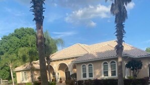 A house with a tiled roof, a brick pathway, and palm trees. - Quiet Lakeview Home (Wesley Chapel)
