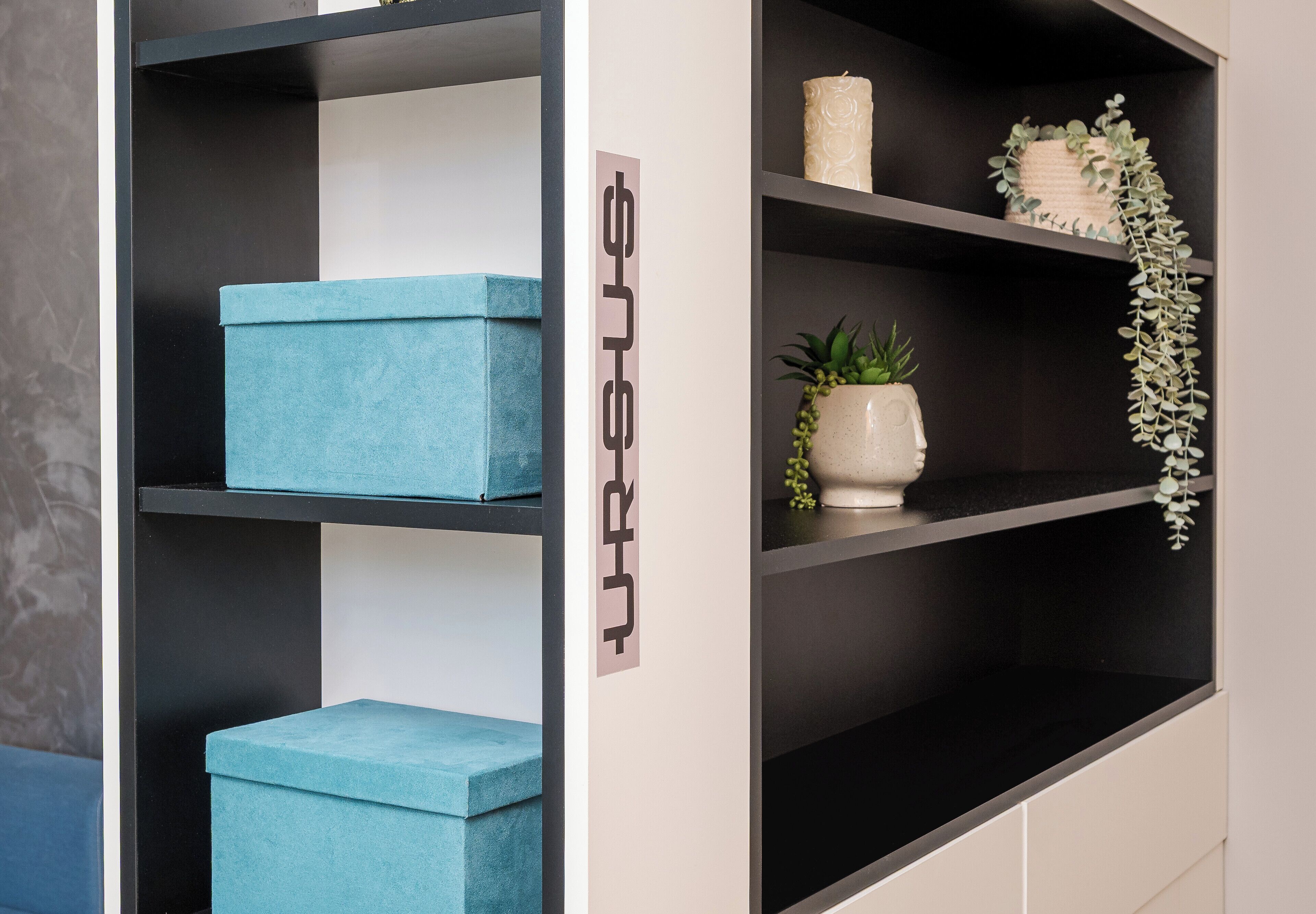 A modern shelving unit with teal storage boxes and a potted plant.