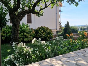 Ein Garten mit einem großen Baum, verschiedenen Sträuchern und blühenden Pflanzen vor einem weißen Gebäude mit einem Steinweg.