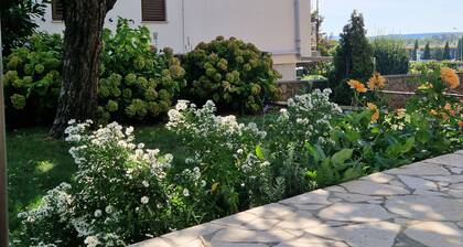 Apartment 2390/159133 (Istria - Labin), 6000m from the beach