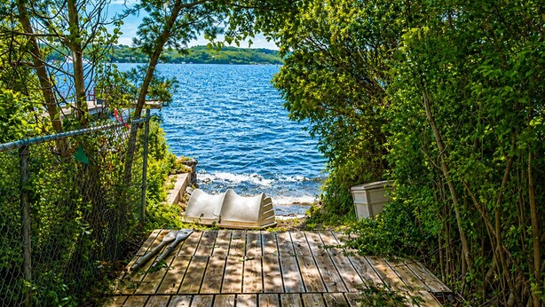 A wooden deck leading to a body of water, surrounded by greenery.