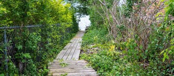 Canandaigua Lake Access | Fire Pit | 5 Bedrooms