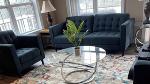 A living room with a blue sofa set, a glass coffee table with a plant, and a patterned rug. - Charming 2-bdrm house with AC, WiFi in Cherokee Village with amazing river views (Cherokee Village)