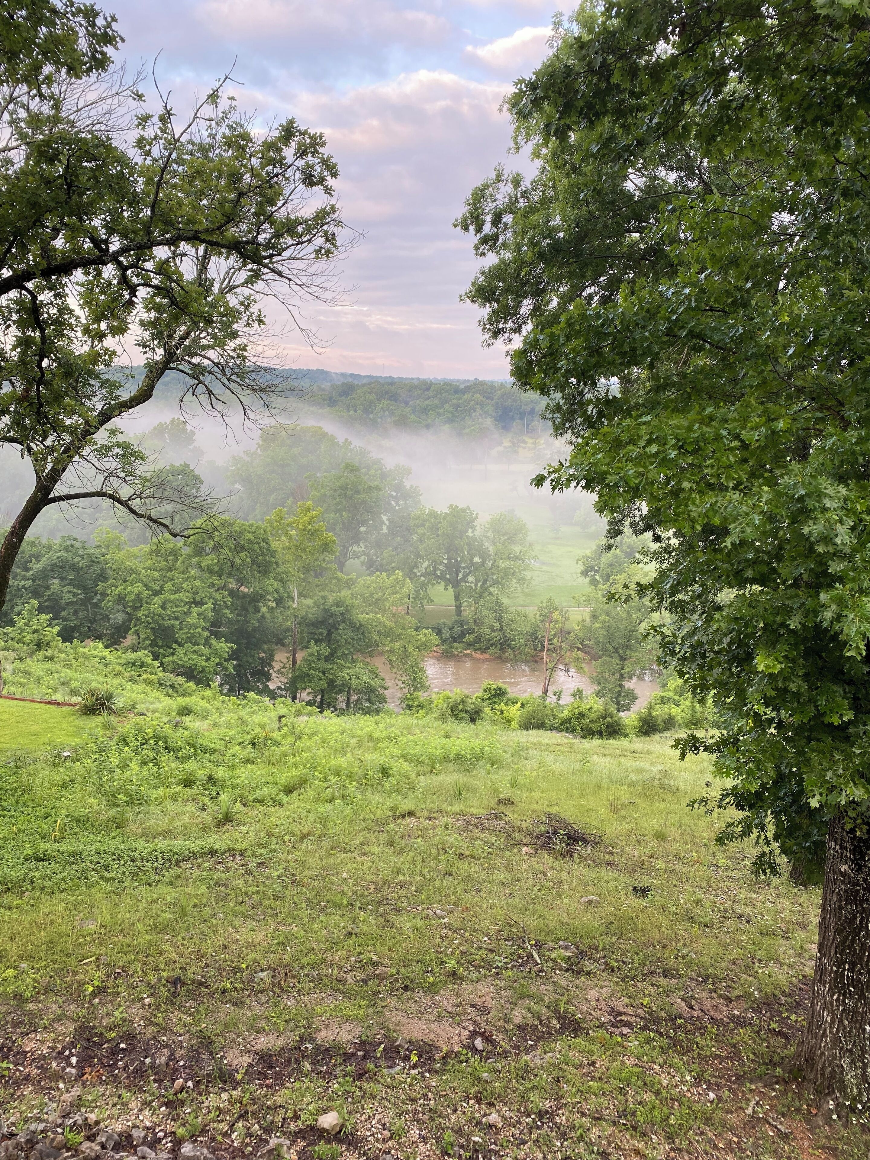 A lush green landscape with trees and a river.