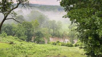 A lush green landscape with trees and a river.