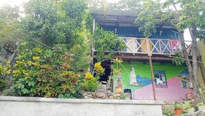 Un edificio colorido con fachada verde y rosa, rodeado de abundante vegetación.