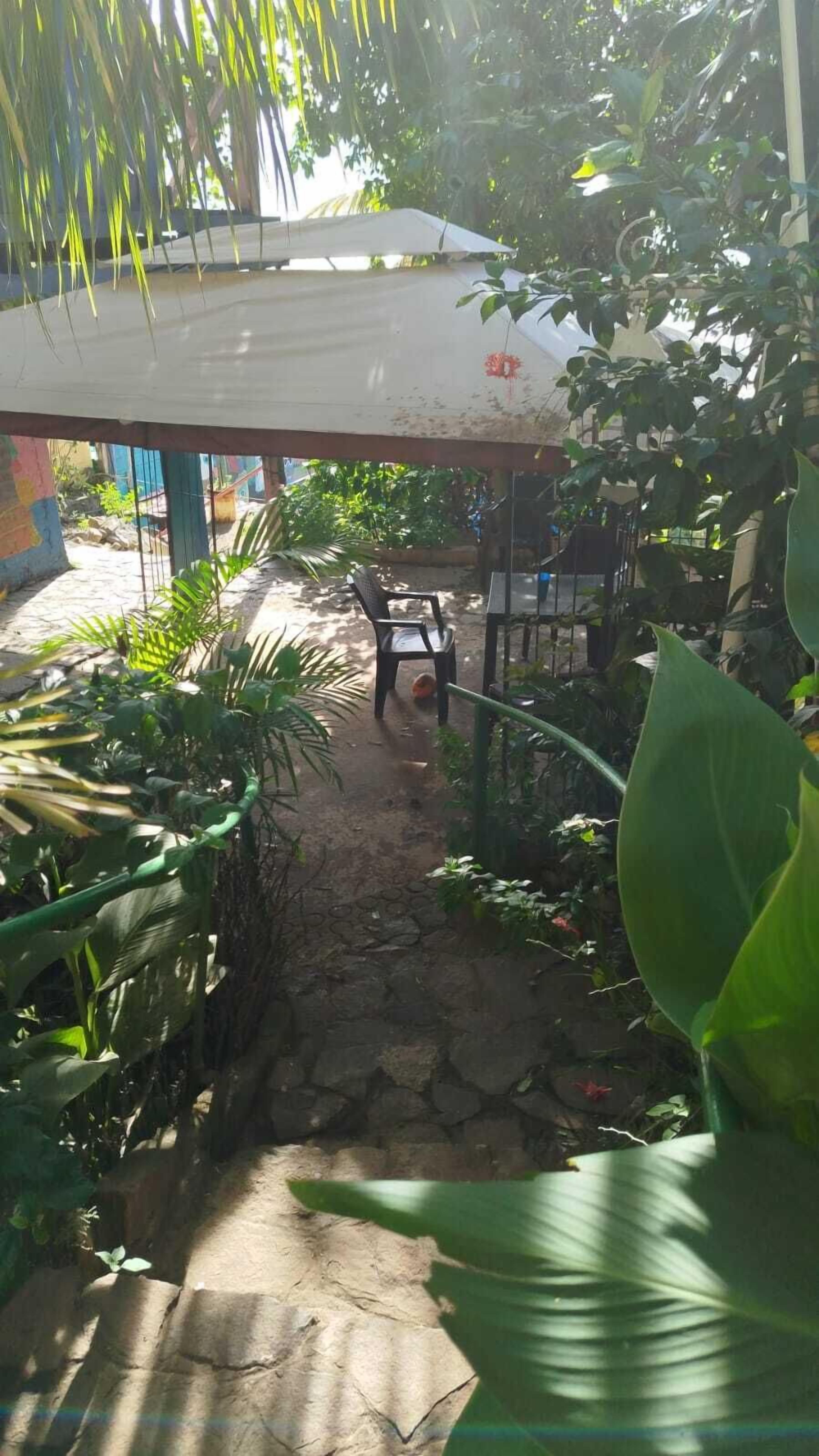 Un espacio al aire libre cubierto con un sendero de piedra, rodeado de abundante vegetación y una cerca de metal.