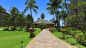 A pathway leading to a building surrounded by palm trees and well-maintained lawns.