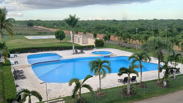 A large outdoor swimming pool with multiple sections, surrounded by palm trees and a grassy area.