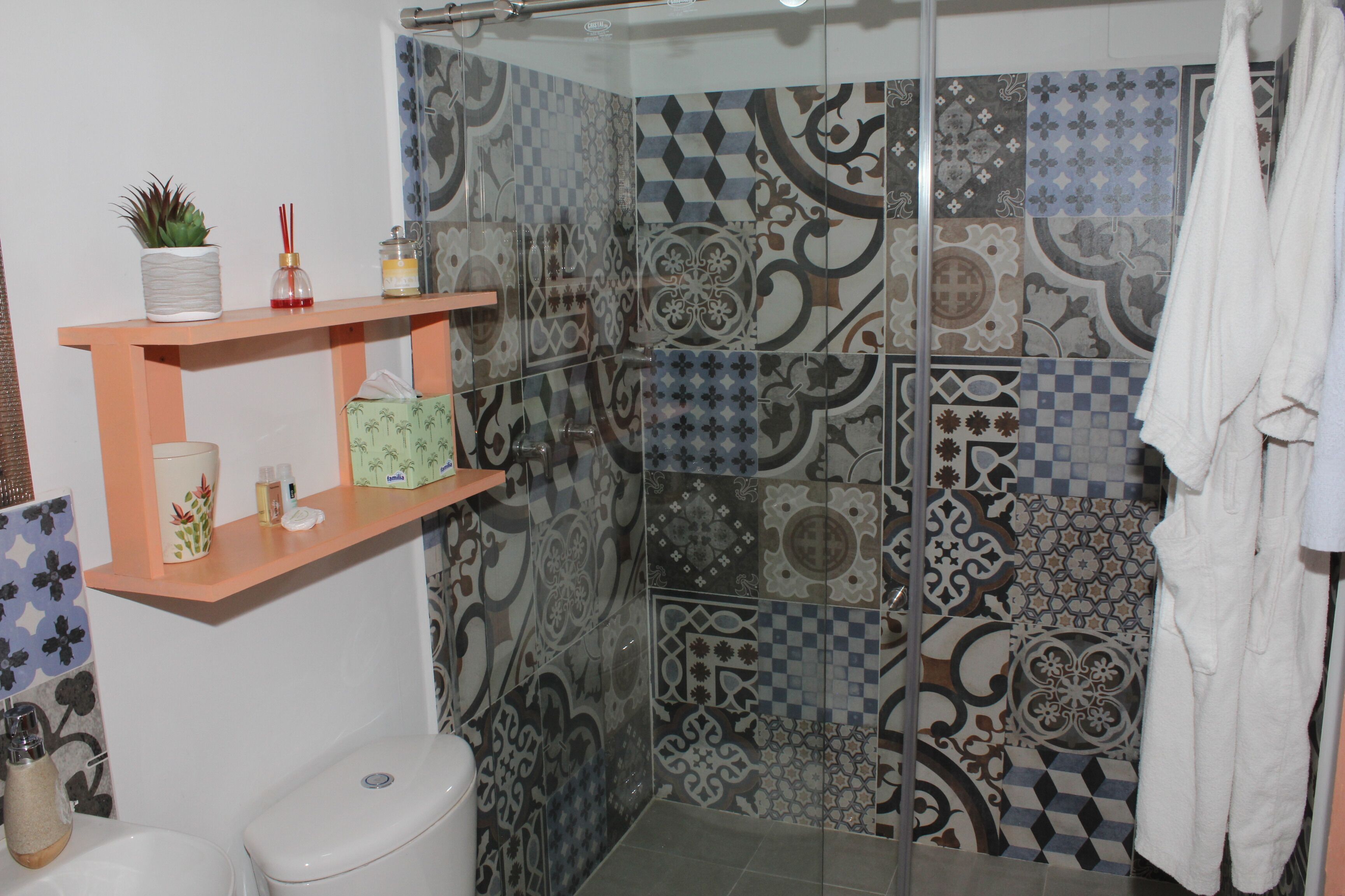 Un baño con zona de ducha, inodoro y estante con artículos de aseo.