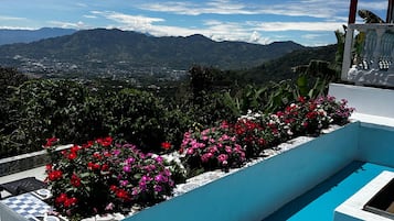 Jardín